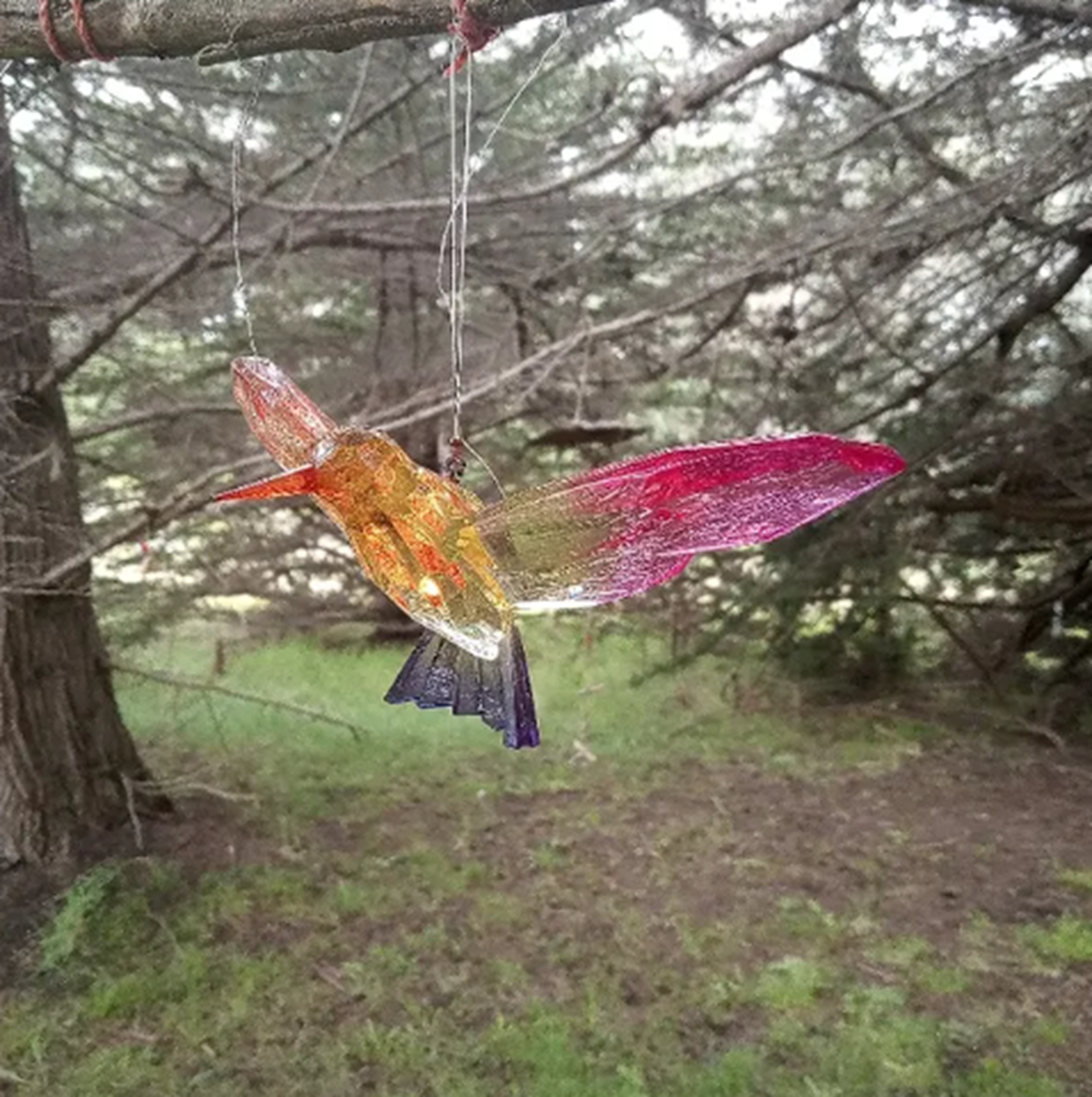 Photo #15 from Nicholas Green Memorial Tree