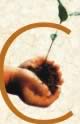 Seed - Thoughts are like seeds. We plant them in our minds. When the seeds are nurtured well, we can be happy all the time. So, take care of your thoughts... the seeds.