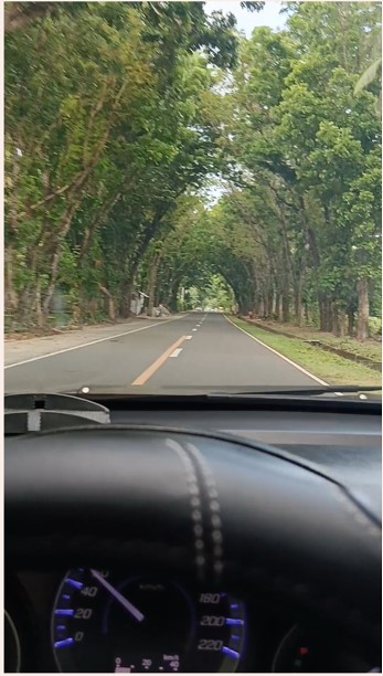 We passed through this tree tunnel during our visit to the villages