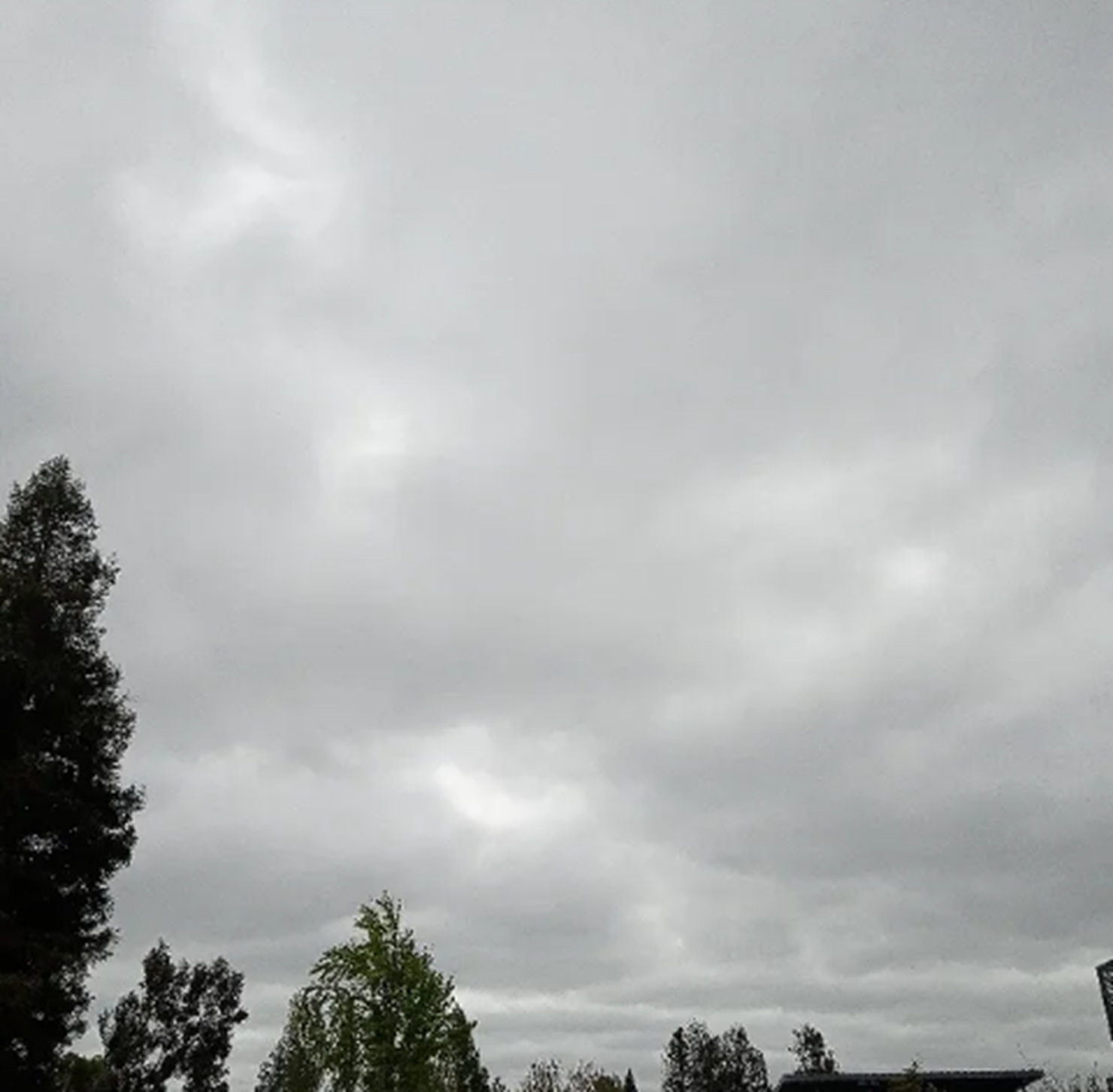 Photo I took of the cloudy overcast sky