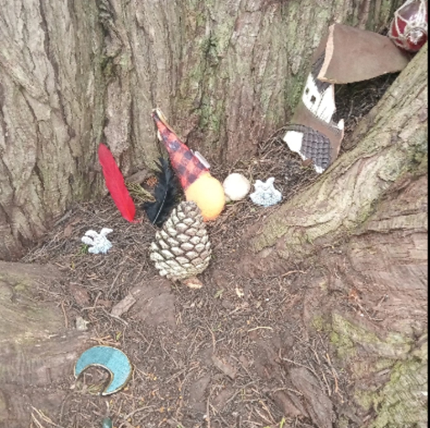 Photo #? from Nicholas Green Memorial tree Photo #? from Nicholas Green Memorial tree