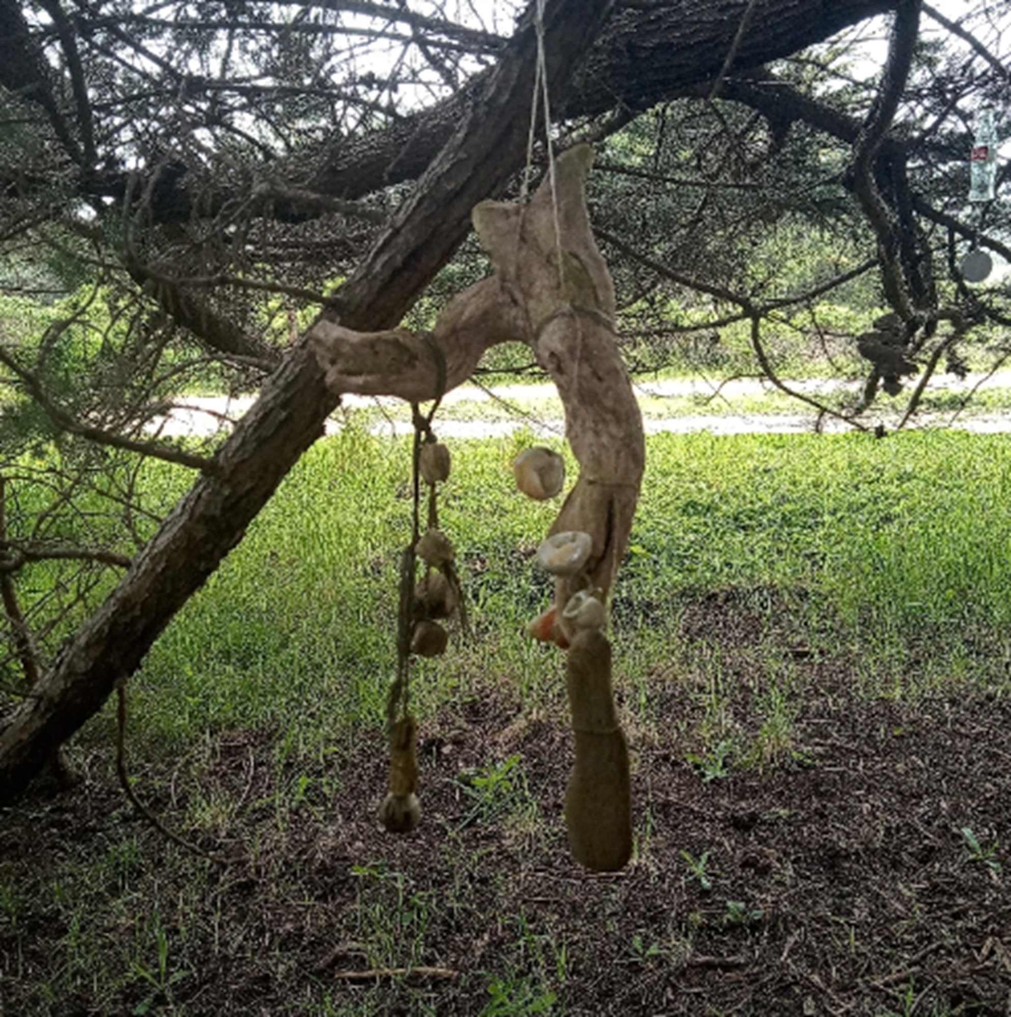 Photo #29 from Nicholas Green Memorial Tree