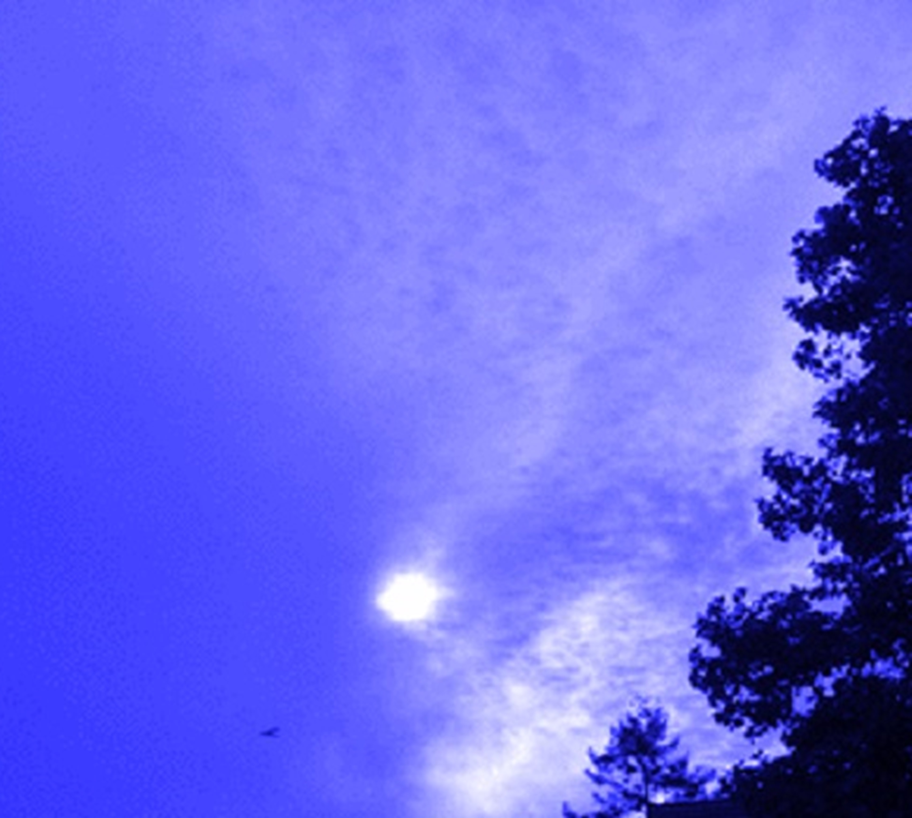Photo taken by me 8-26-14 w tint added on LunaPic.com