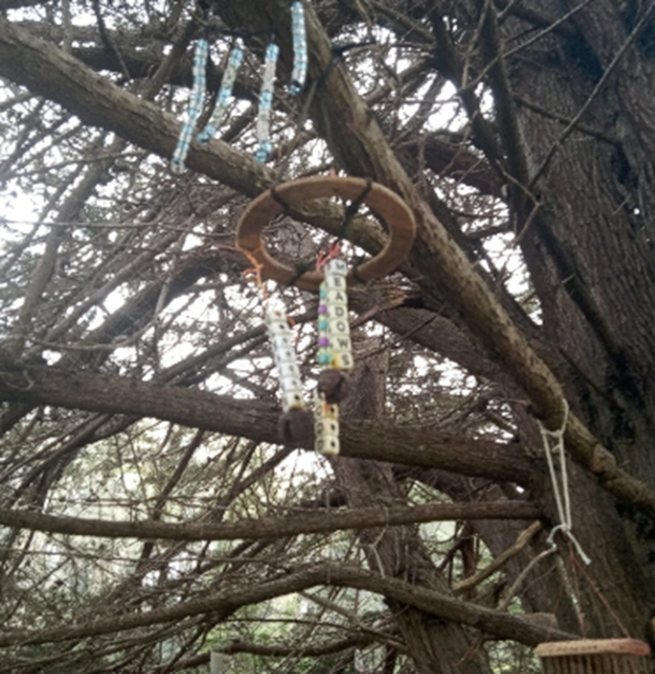 Nicholas Green Memorial Tree Photo #30)