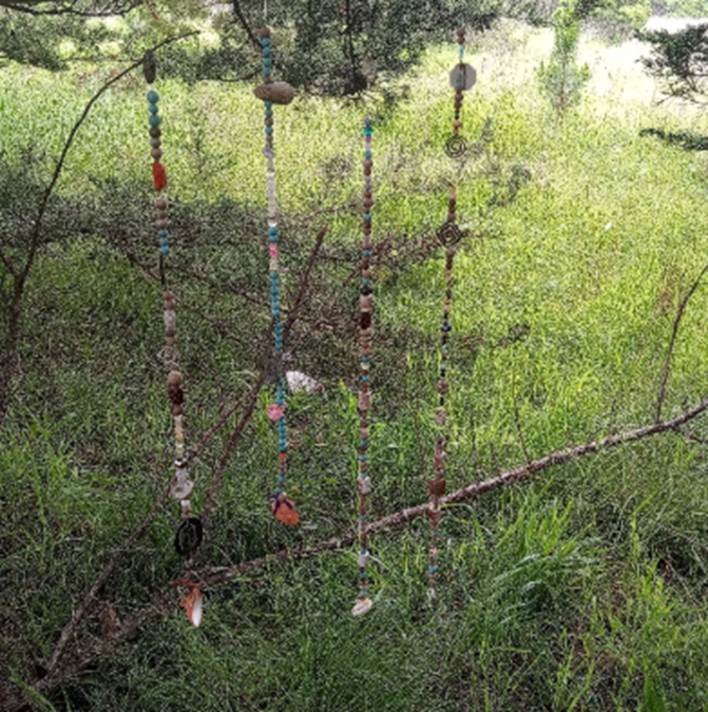 Photo 31 from Nicholas Green Memorial Tree