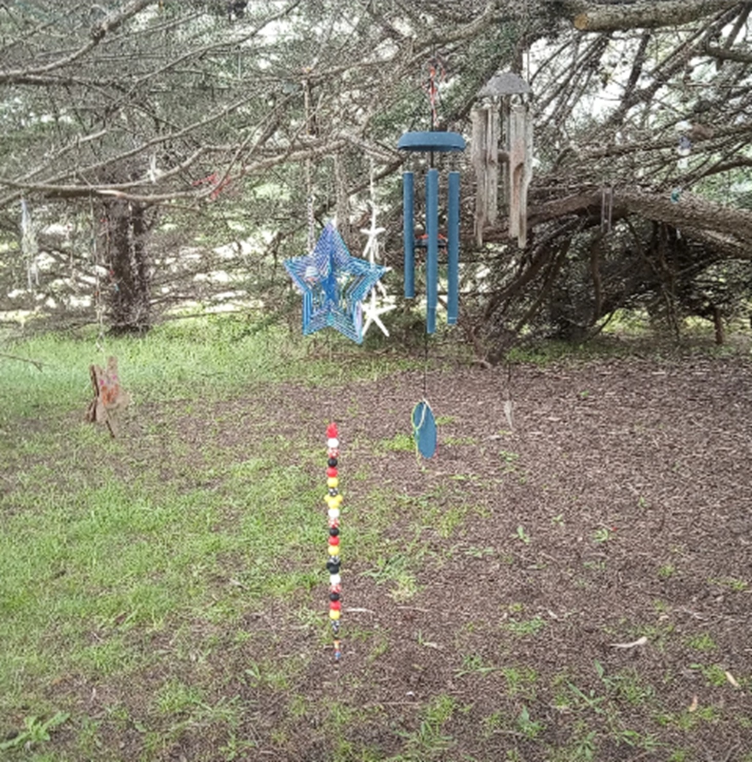 Nicholas Green memorial tree #32