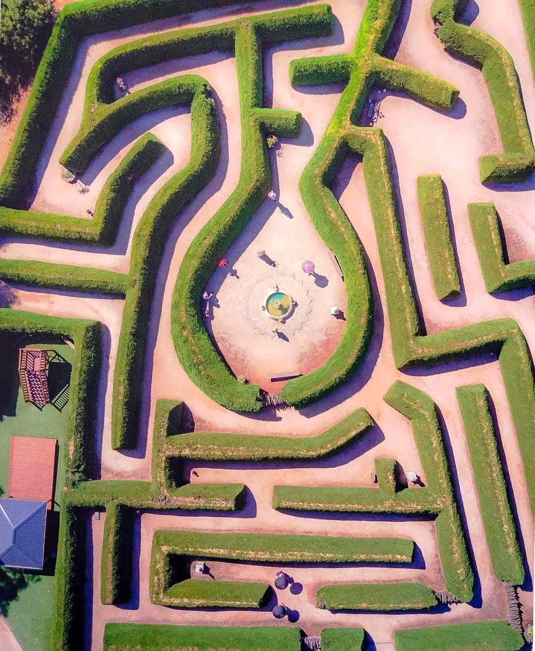 Maze