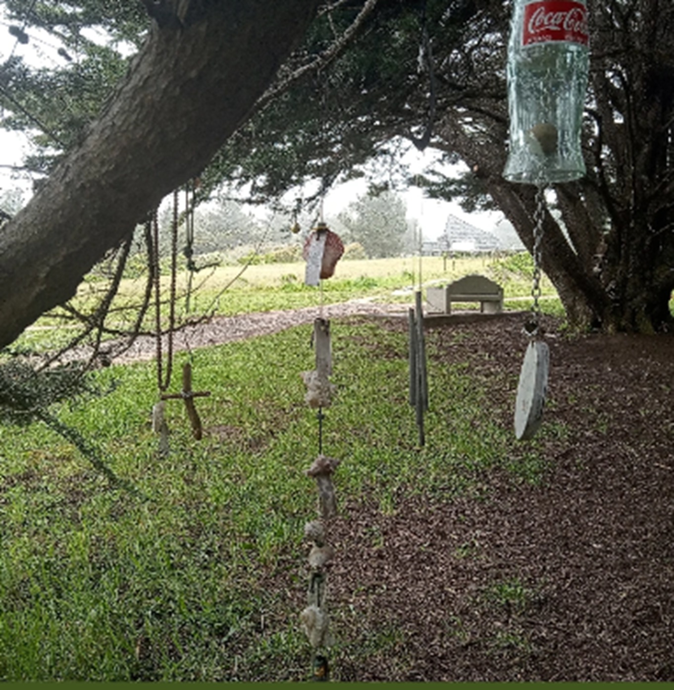 Photo #38 from Nicholas Green Memorial Tree