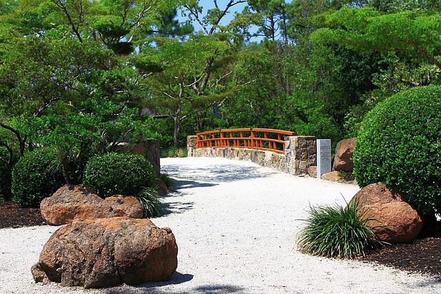 A big rock on our path is obvious but try to see the small rocks too