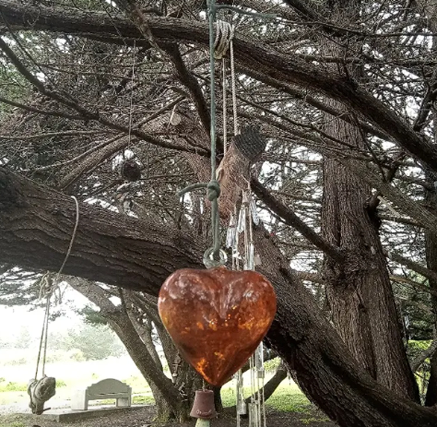 Photo #40 from Nicholas Green memorial tree