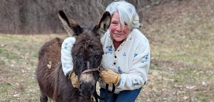 Missing donkey reunites with his owner in Massachusetts.