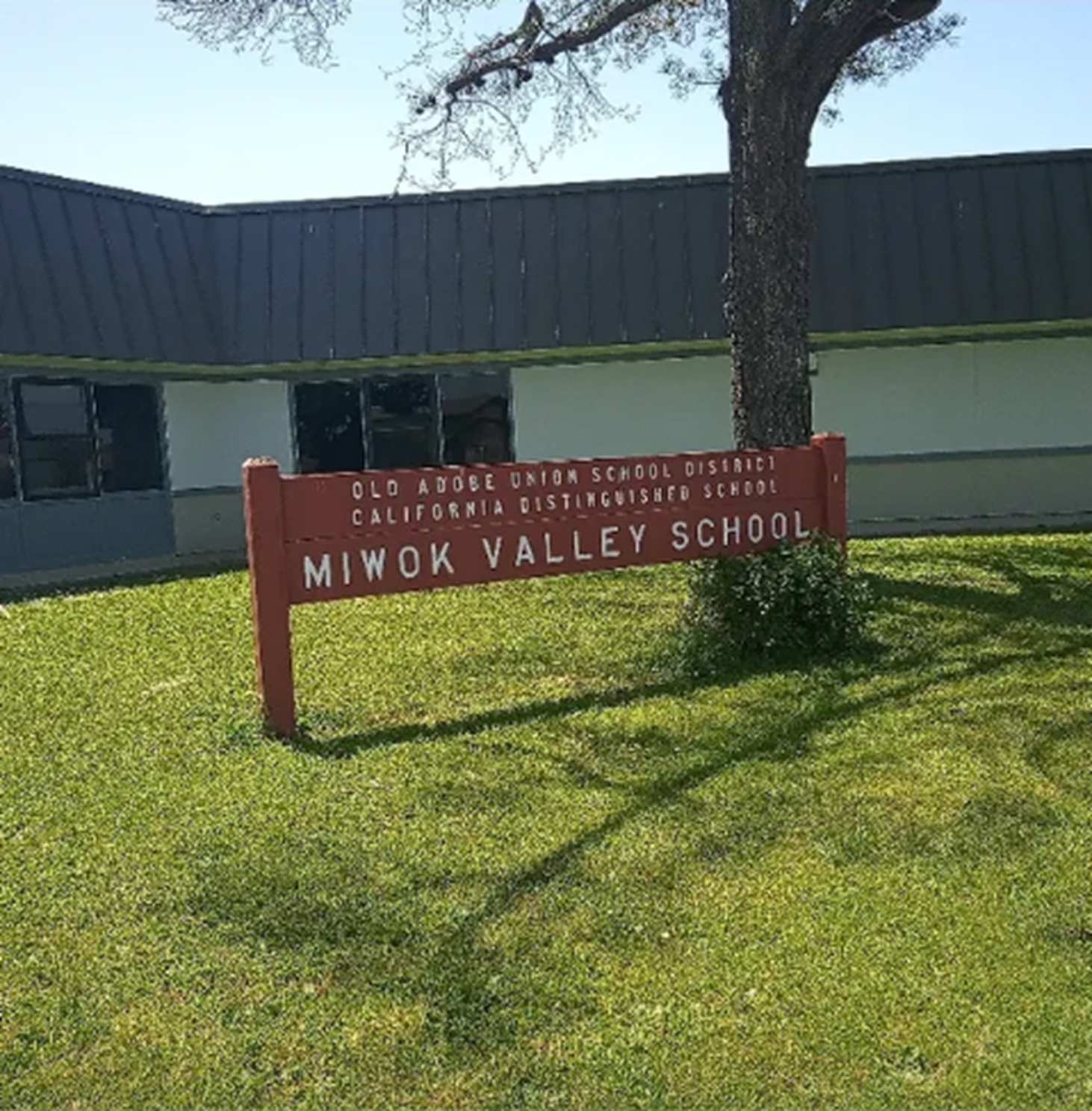 Photo I took of Miwok School sign where I worked today