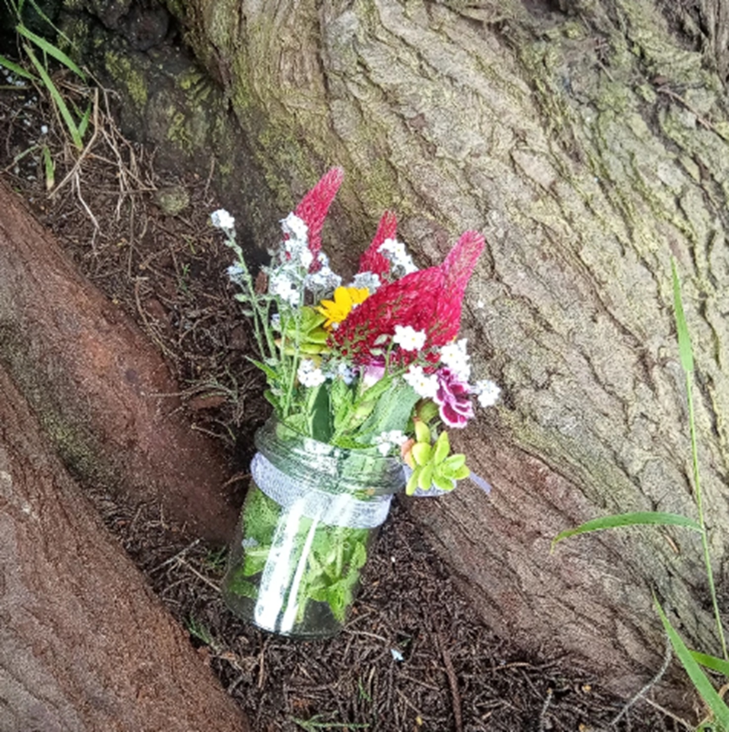 Photo #41 from Nicholas Green Memorial Tree
