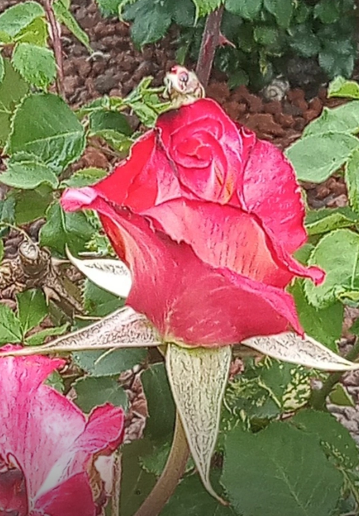Photo taken by me