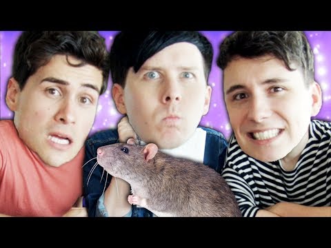 A famous photo of actors from the comedy: Antony, Dan or Rat? Source: YouTube.com