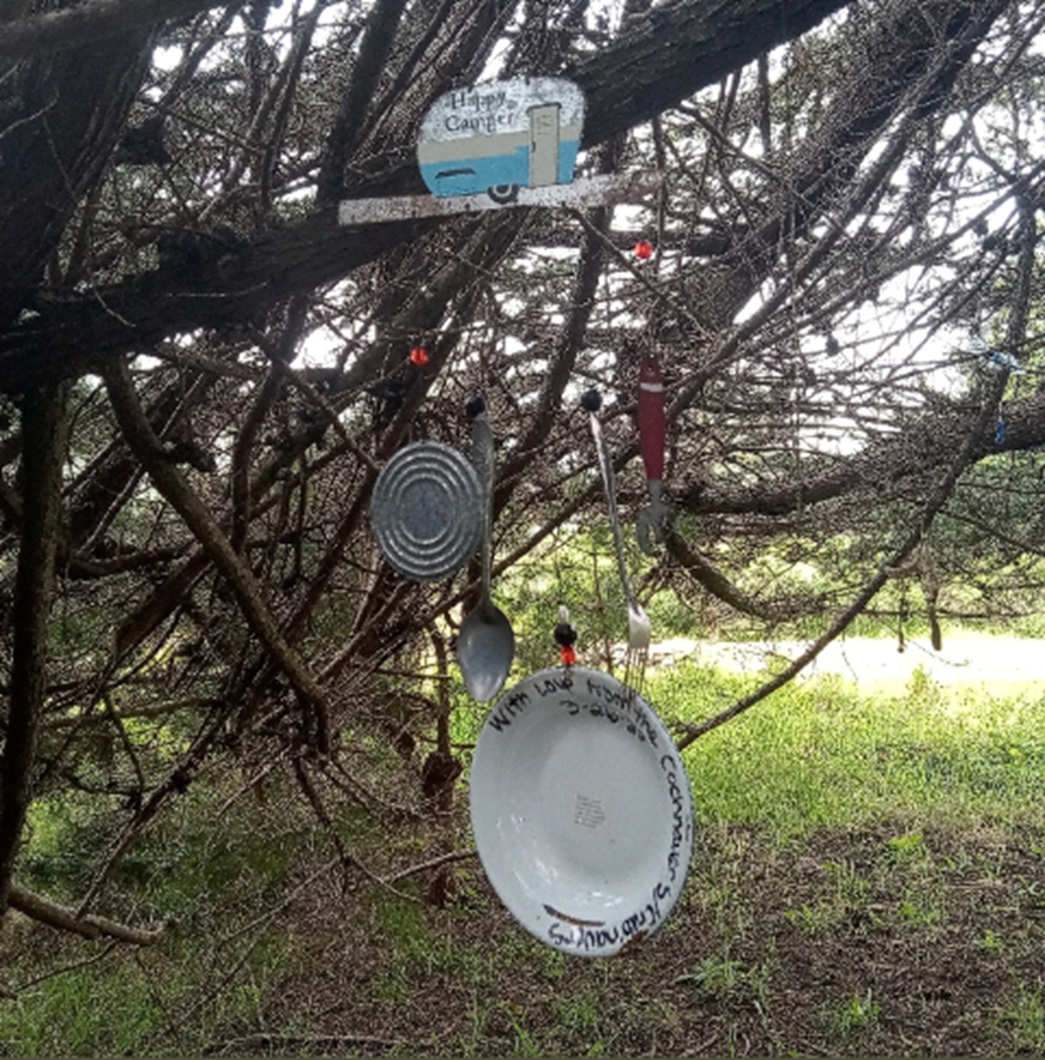 Photo #43 From Nicholas Green Memorial Tree