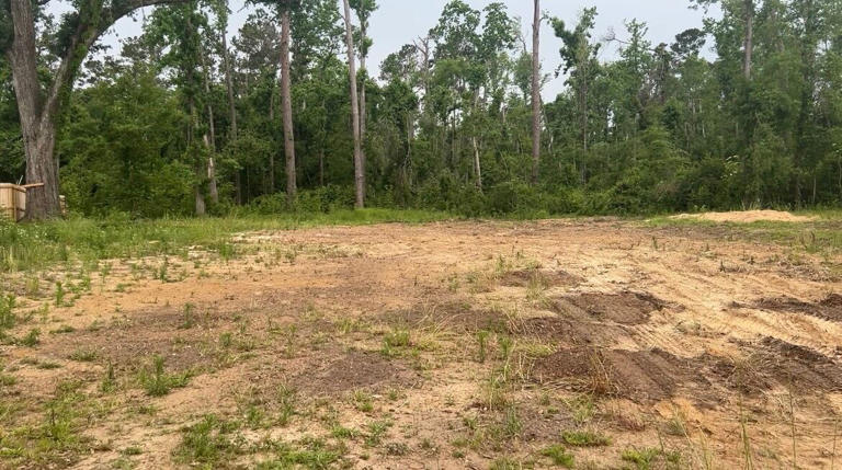 Damage from a tornado that destroyed a home in Leon County Florida. Damage from a tornado that destroyed a home in Leon County Florida.