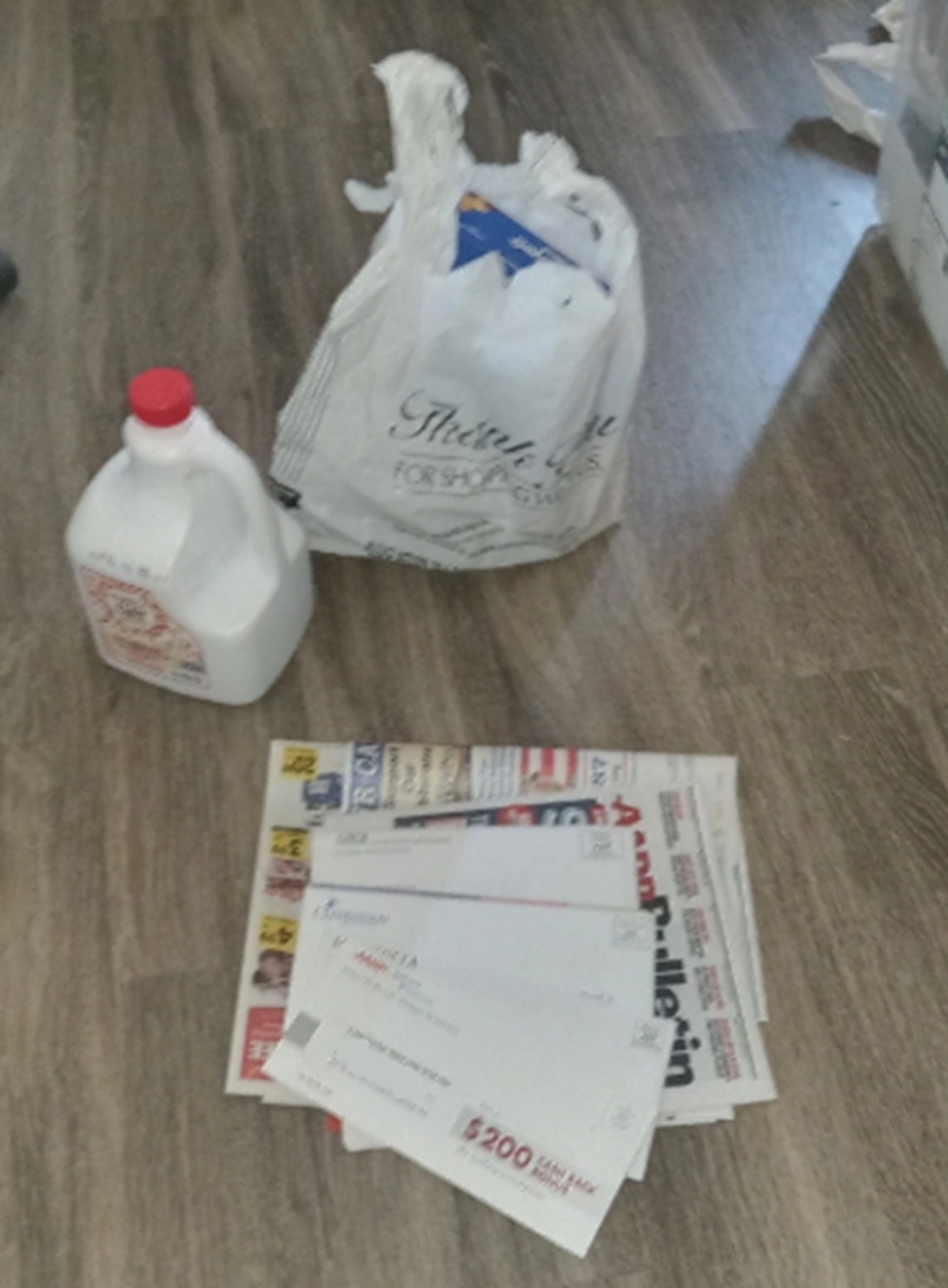 Photo of my exciting groceries and mail