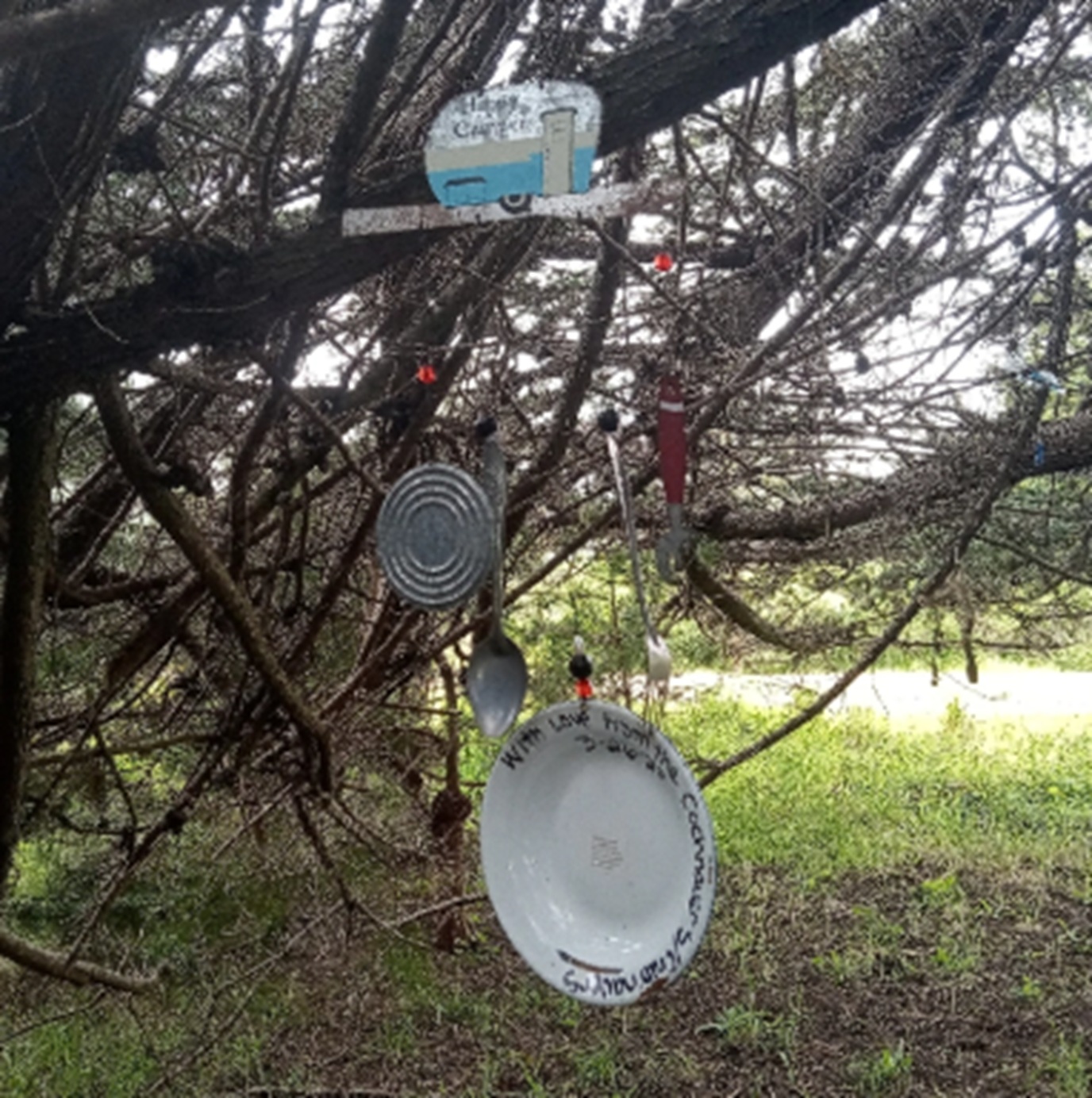 Nicholas Green Memorial tree photo #47