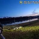 Deputies with the Manatee County Sheriff&#039;s Office wrangle a gator in Florida