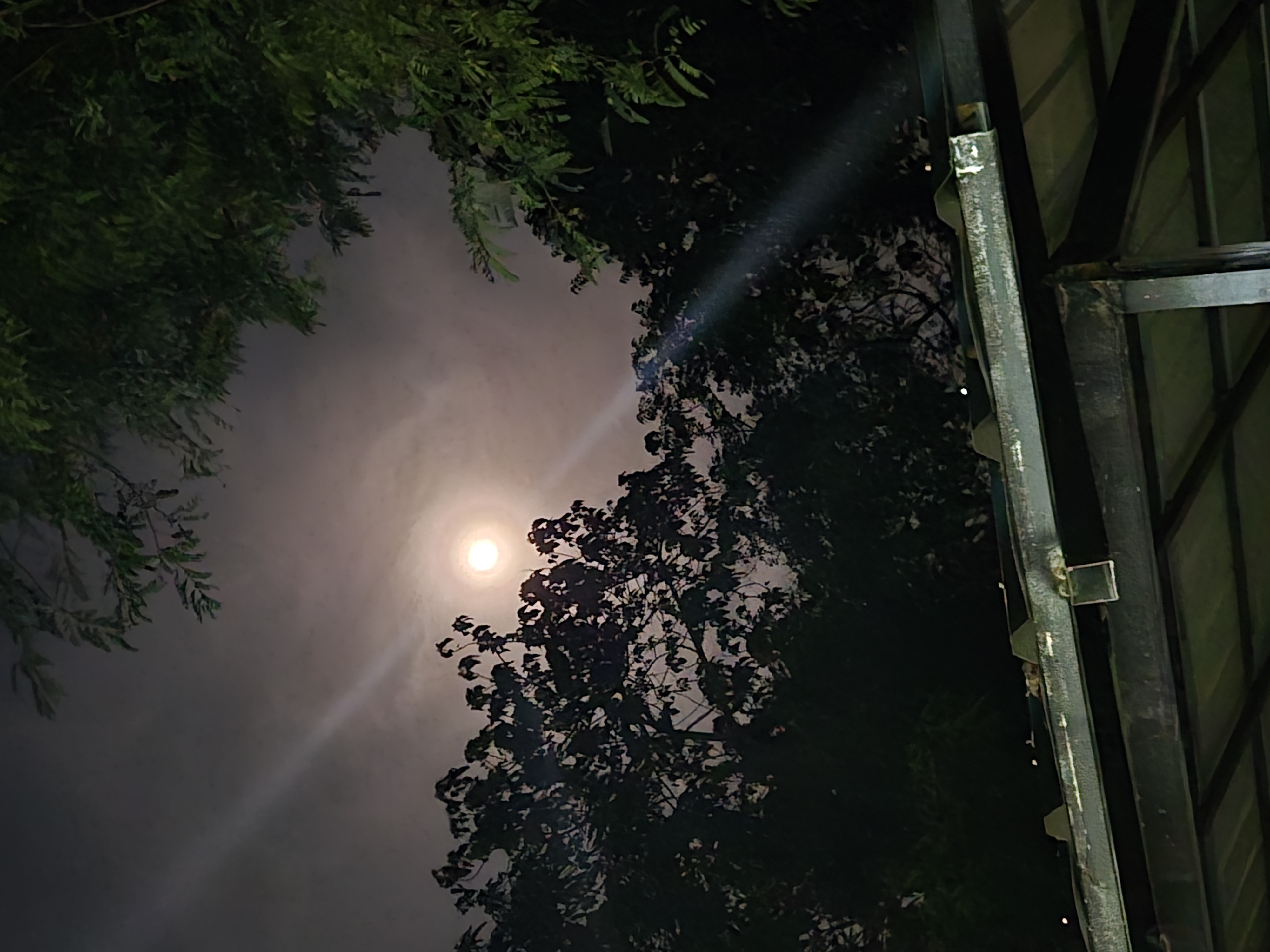 Moonlight at the beach