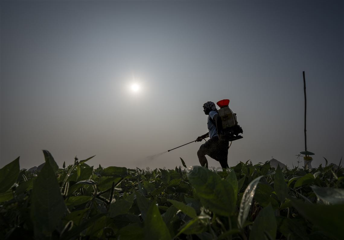 An image of a person working in the farm during full moon. Source: Pittsburgh Post Website