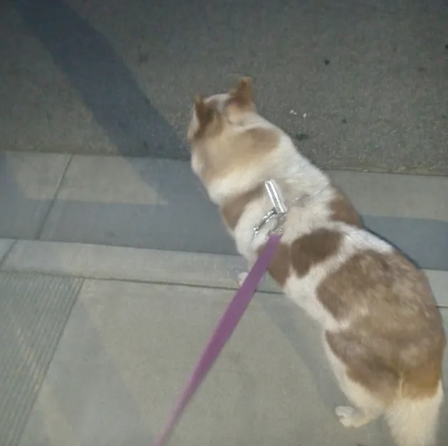Photo I took while we were on our walk