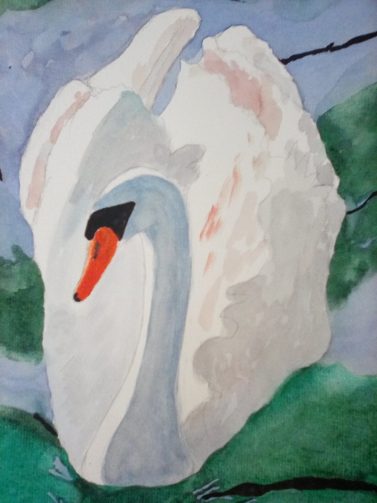 Swan - Watercolour painting.