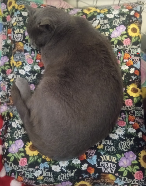 My new pillow