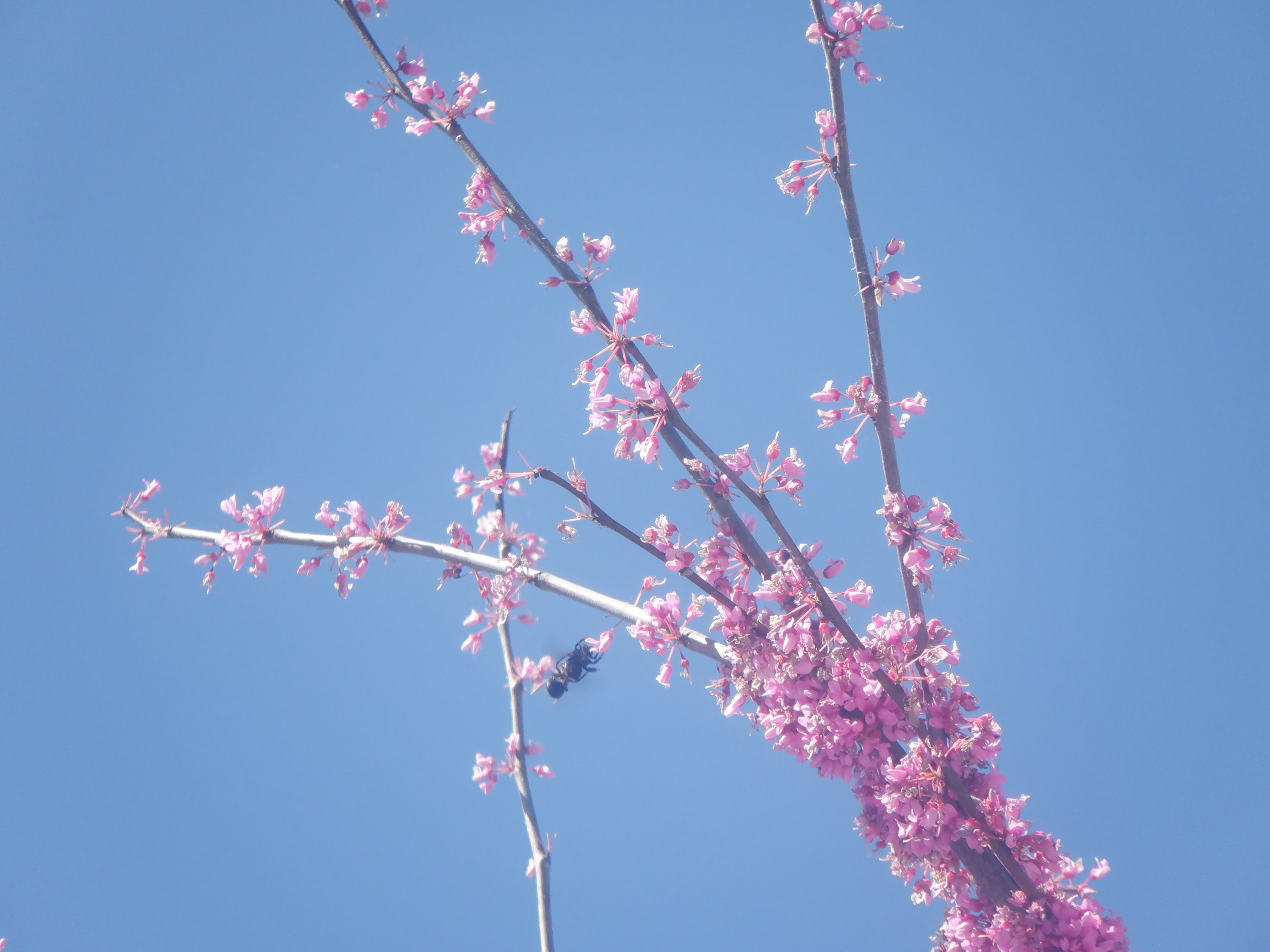 Photo taken by me