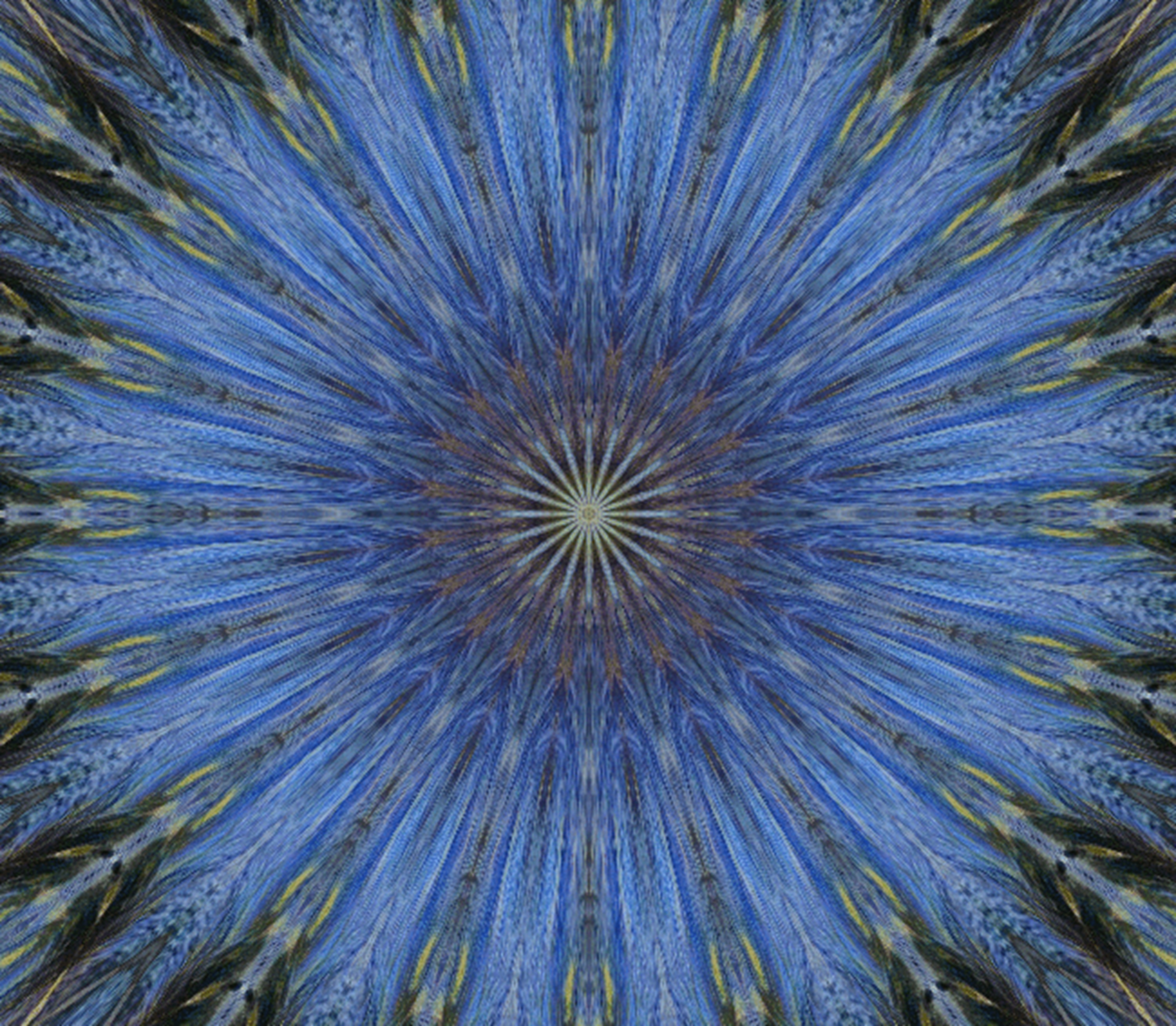 Photo taken by me with effects on LunaPic.com