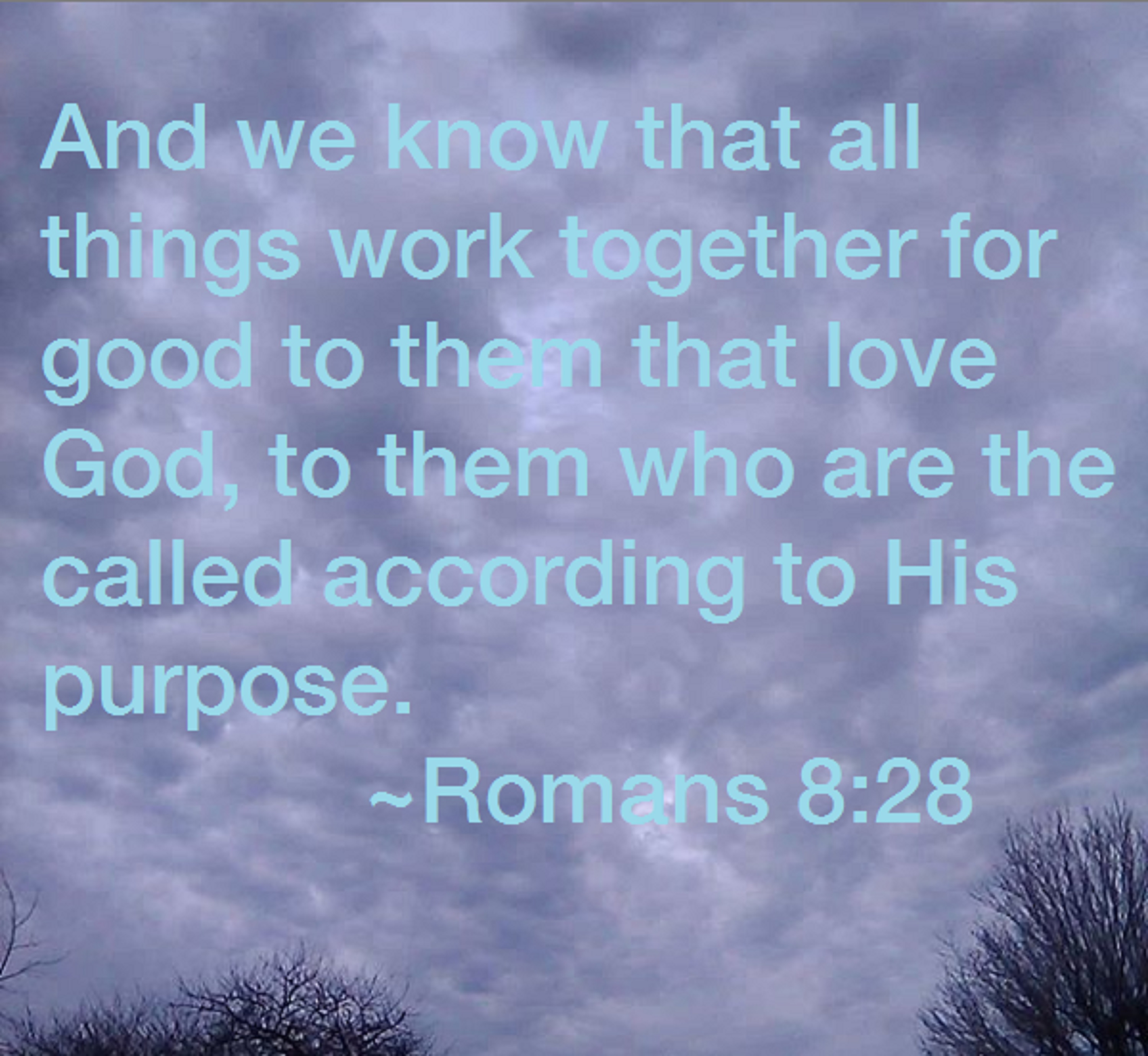 Photo taken by me with verse added with Microsoft Paint