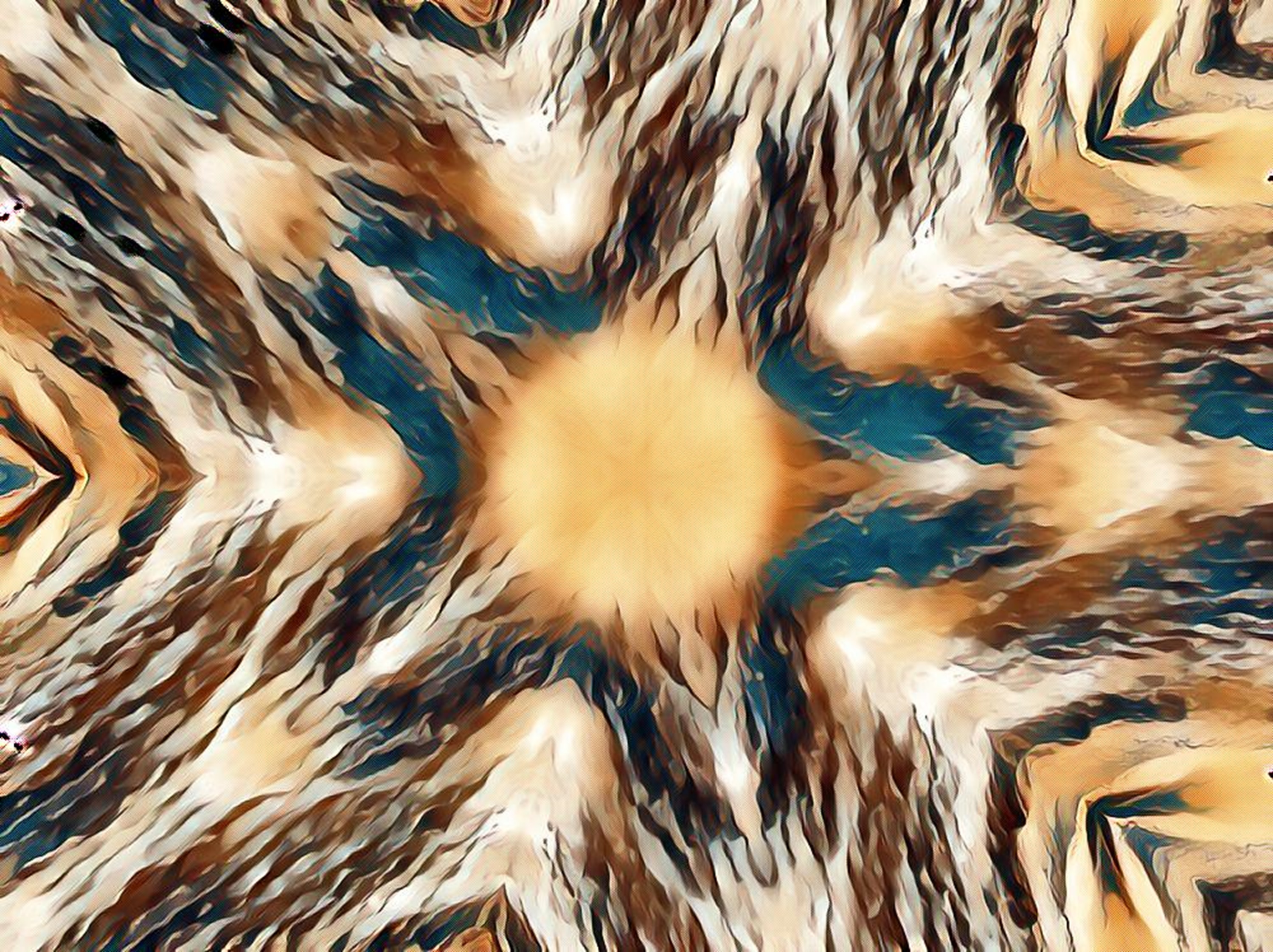 Photo taken by me with fairy and kaleidoscope effects on LunaPic.com