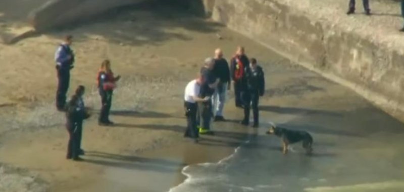 Authorities rescue a dog trapped on a rock in a beach in Illinois