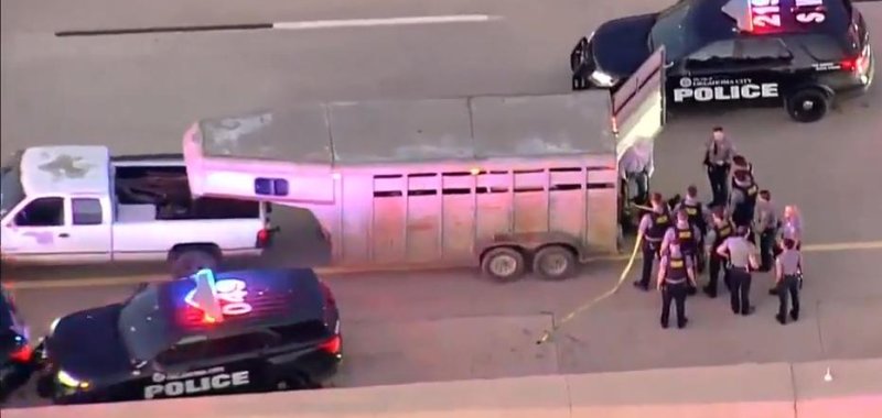 Loose cow caused a traffic delay on Interstate 40 in Oklahoma City
