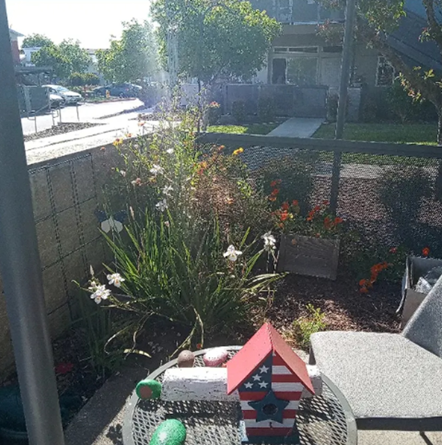 Photo I took of most of my plants Photo I took of most of my plants