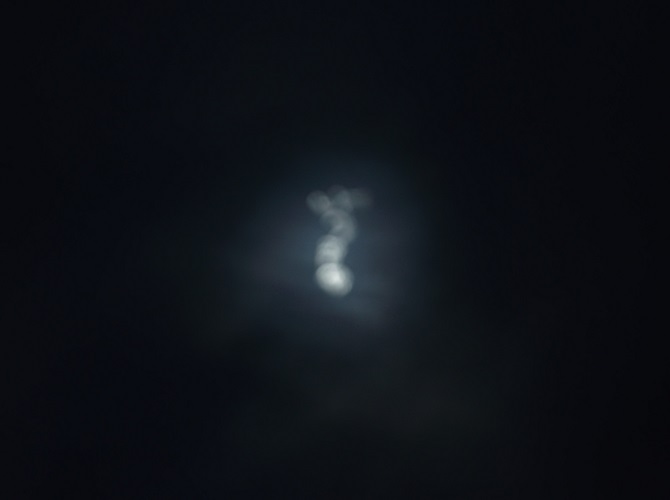 Photo taken by me 3-19-25 Photo taken by me 3-19-25