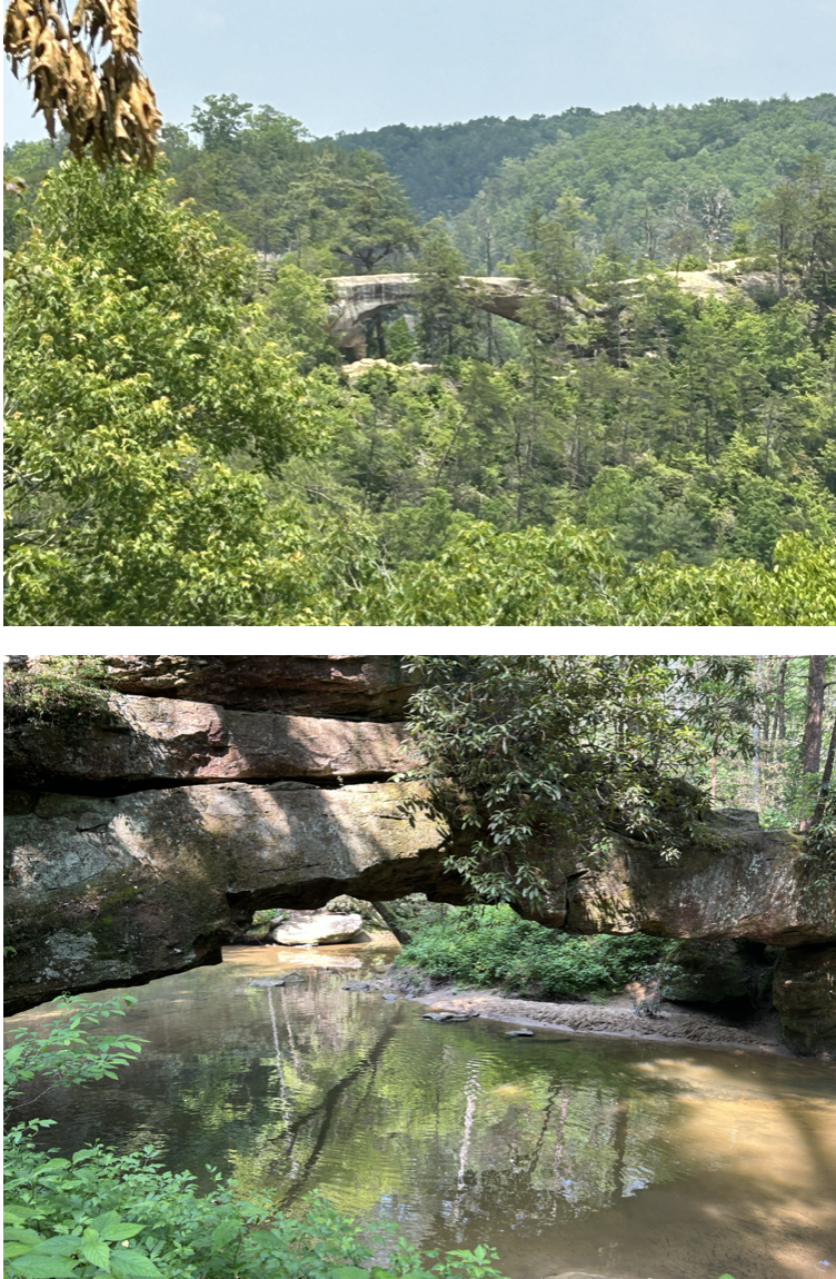 Natural bridges in Red River Gorge.  Photos taken by and the property of FourWalls.