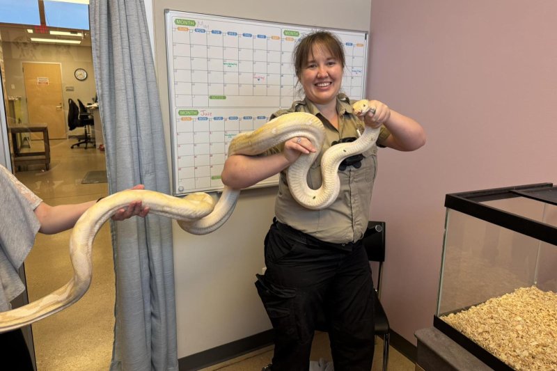 Animal control in Iowa handling a nine foot phyton named Hiss-a -Lot 