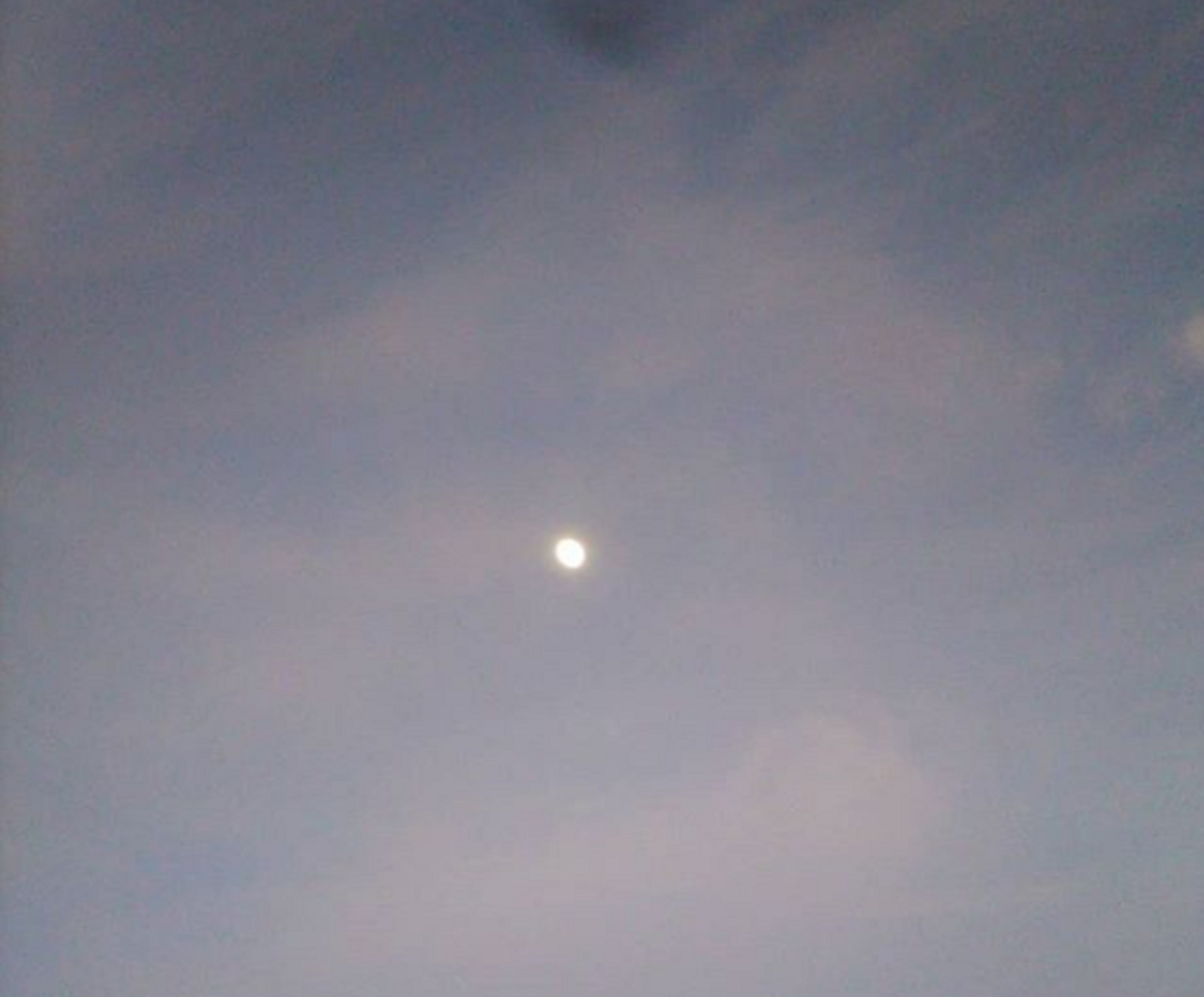 Photo taken by me 2-5-20