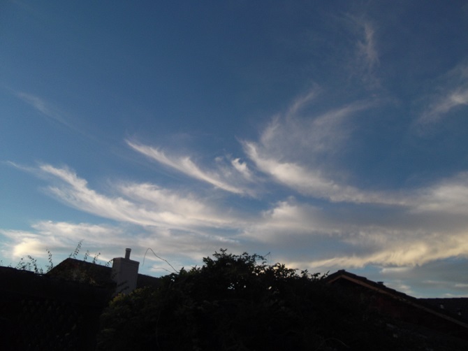 Photo taken by me 10-9-14