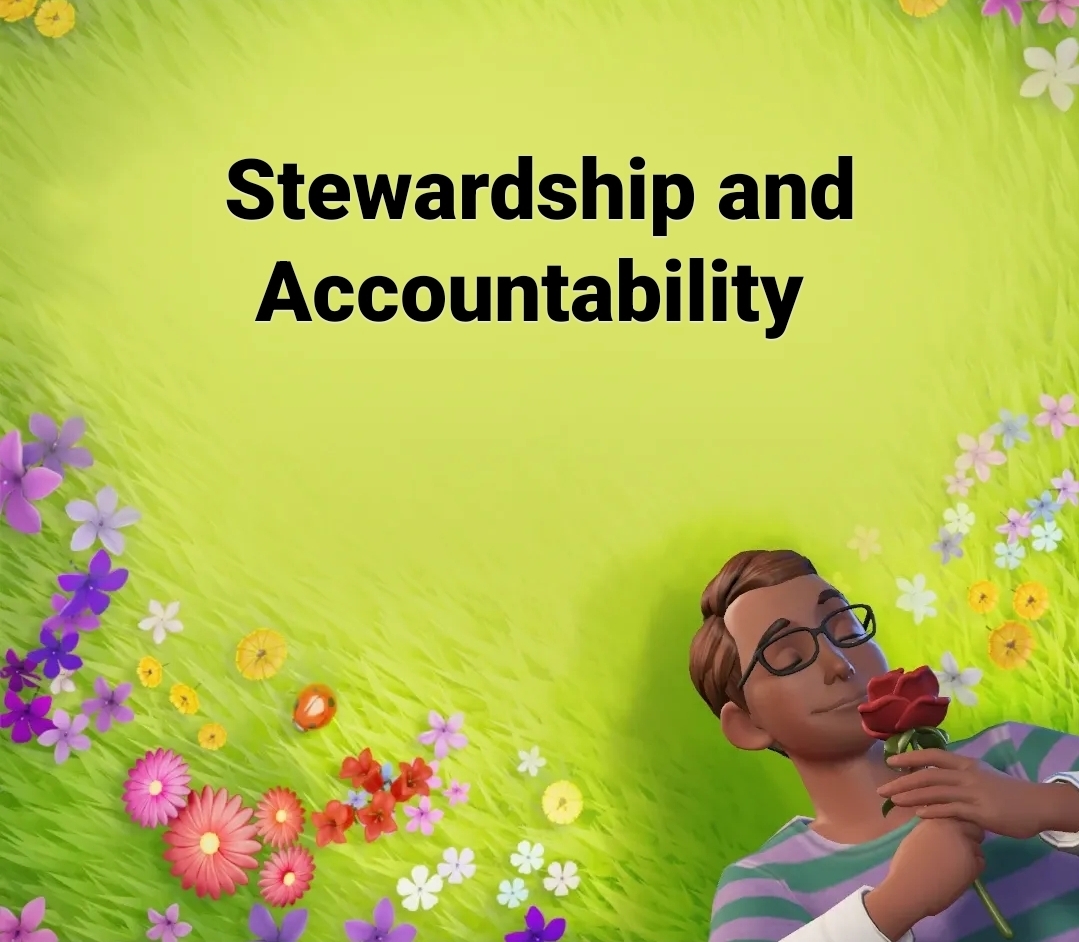 Stewardship and accountability 