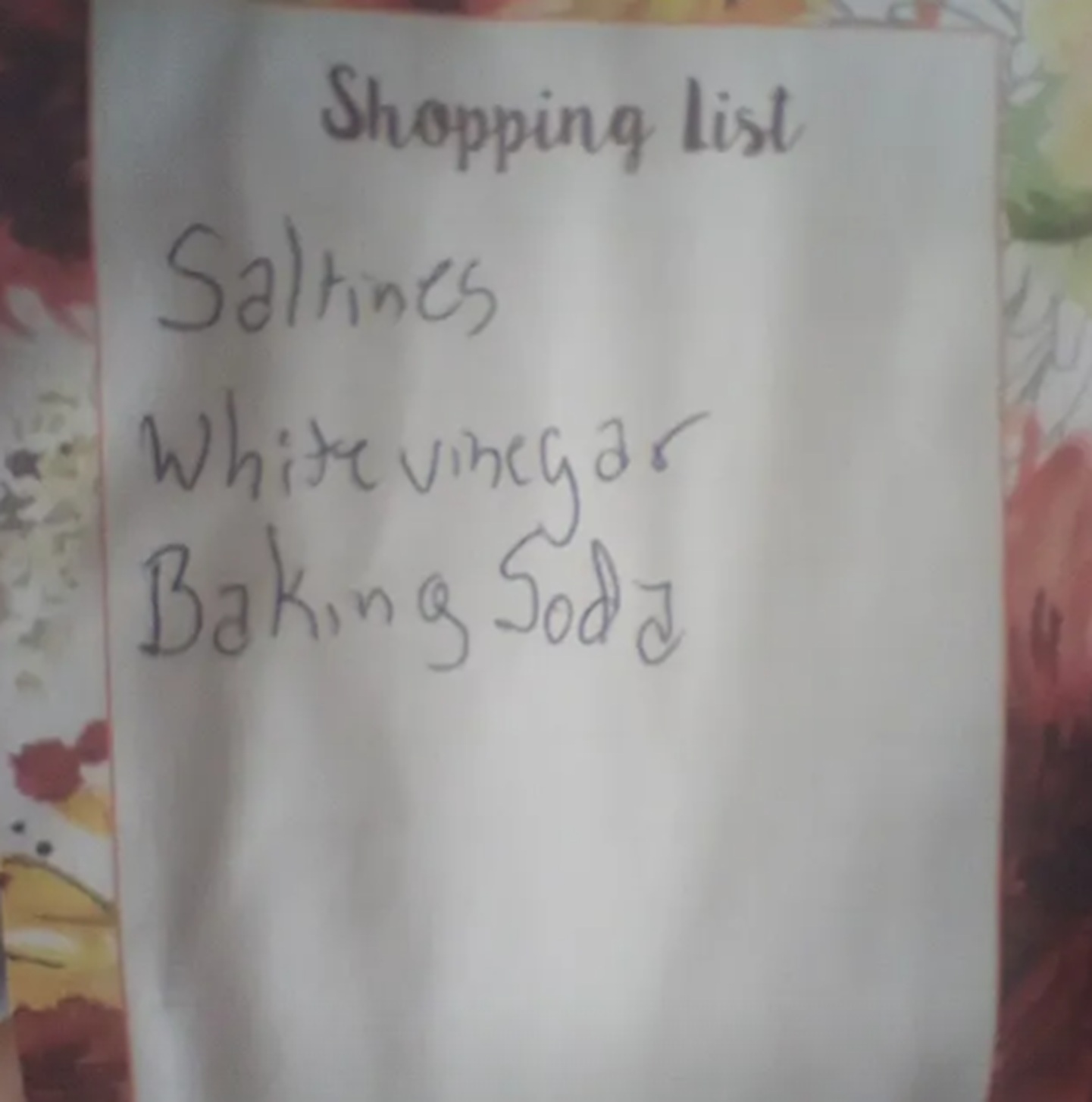 Photo I took of my current shopping list