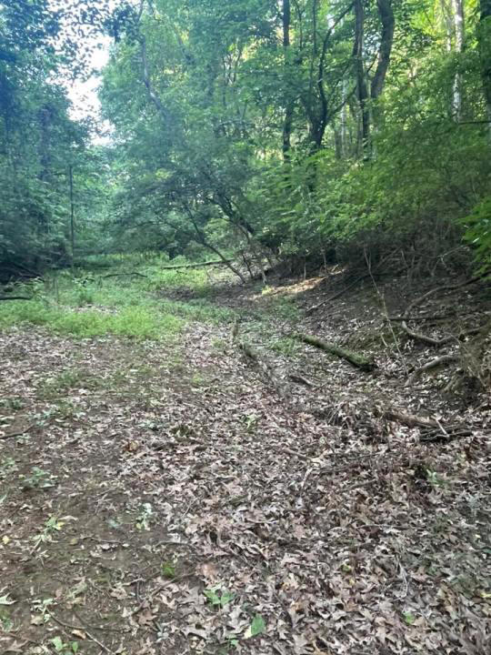 A man finds a missing four year boy in his property in Newport Tennessee