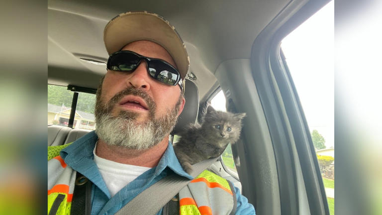 NCDOT employee Ryan Barbee adopts a kitten in North Carolina.