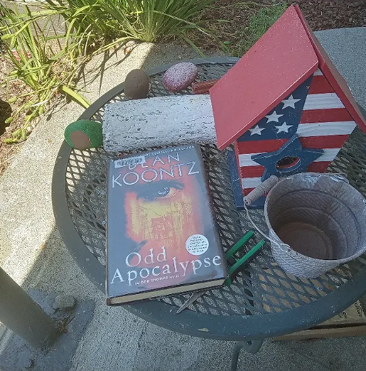 Book I was reading on the patio