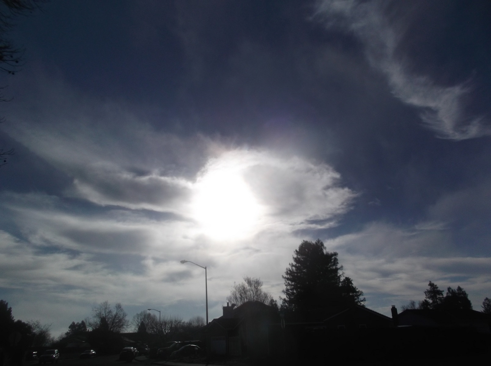 Photo taken by me 2-14-17 Photo taken by me 2-14-17