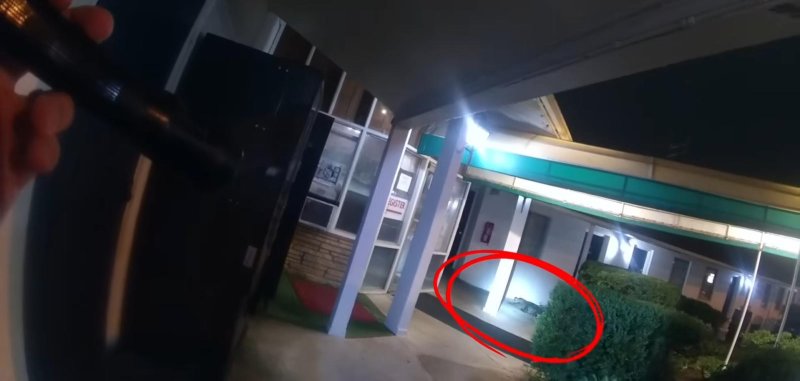 Alligator sighting at a motel in Virginia.