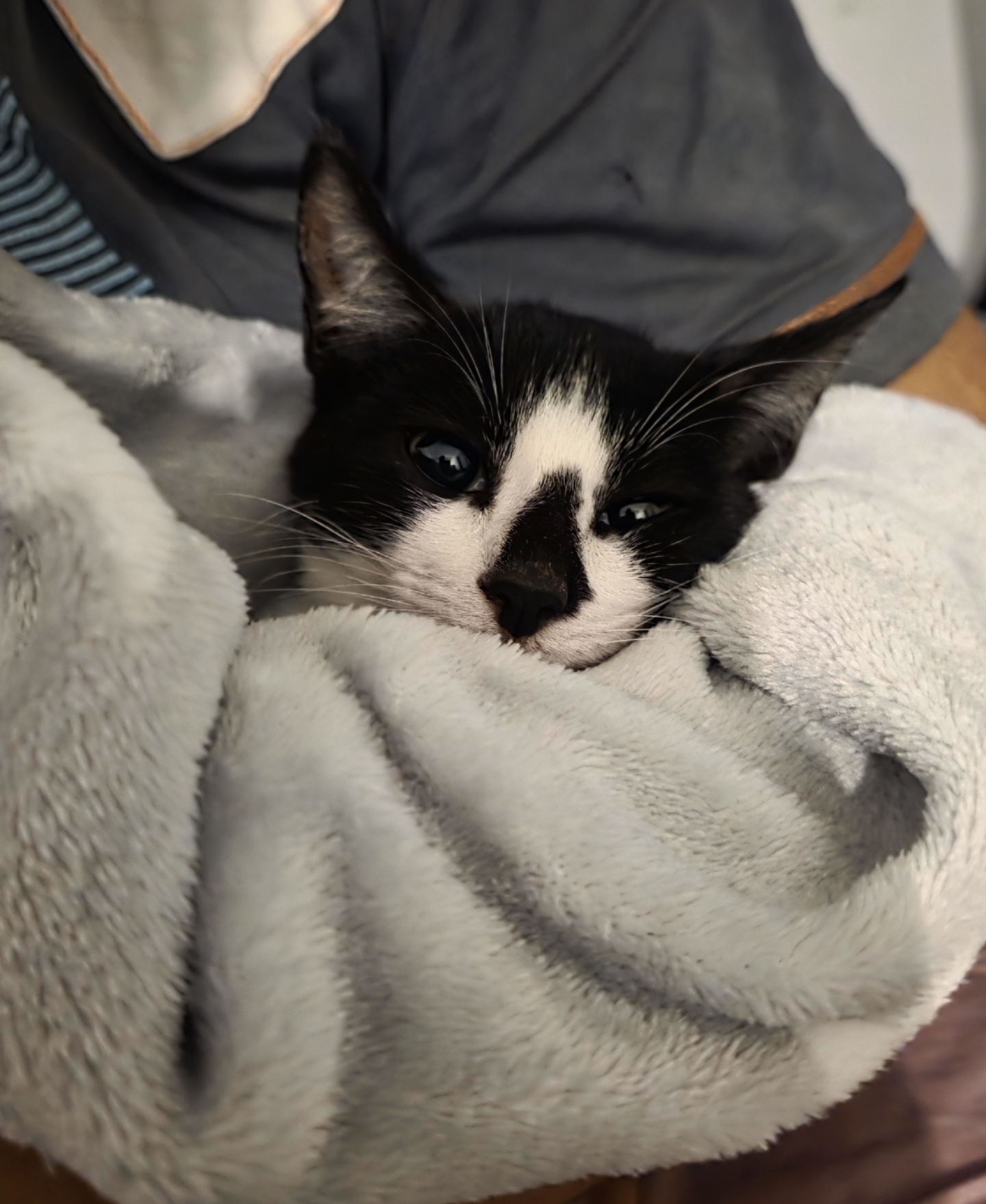Batman ready for bed