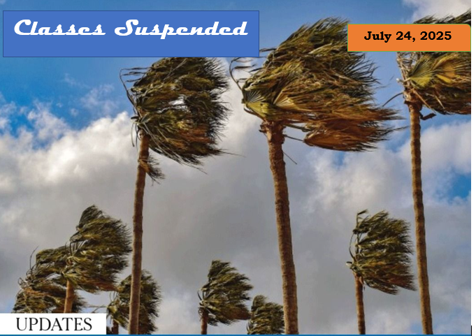 coconut trees blown by the wind